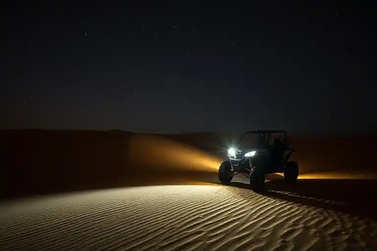 Night Adventure
